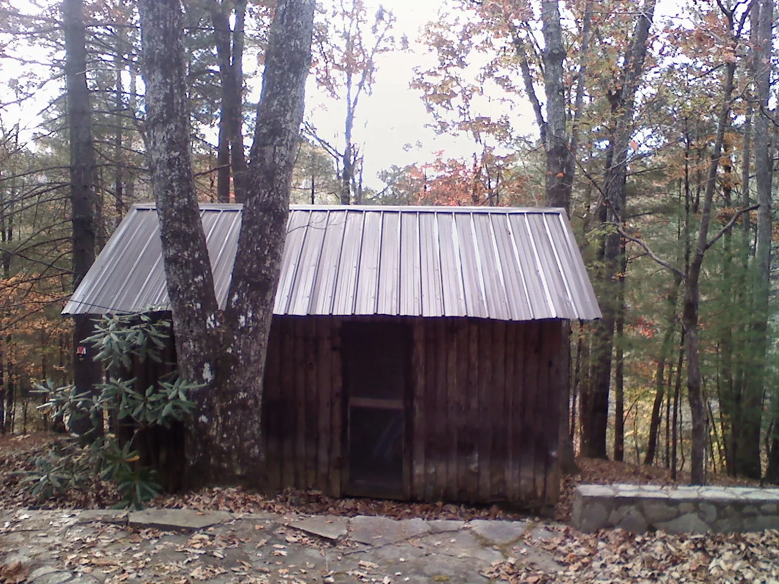 New metal gable roof on a small log shed among the trees in Brierfield